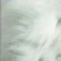 پنبه سفید در حد نو ( زیر فی)