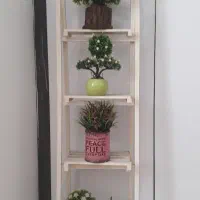 استند