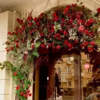 اجراو نصب تخصصی درخت شکوفه|گل مصنوعی|کیش, |دیوار