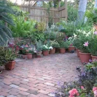 یک خانم جهت نظافت منزل