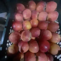 سیب زرد و قرمز