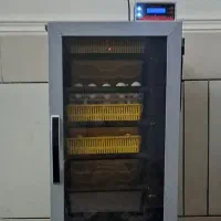 دستگاه جوجه کشی