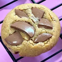 کوکی ،نیویورکی|خوردنی و آشامیدنی|اهواز, کوی آغاجاری|دیوار