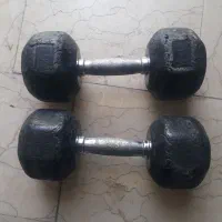 دمبل ۲۵ کیلویی