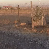 فروش زمین کشاورزی|فروش زمین و ملک کلنگی|کندوان, |دیوار