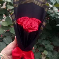 گل های ماندگار بهترین هدیه برا عزیزانتون|گل مصنوعی|شادگان, |دیوار