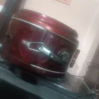گل فر
