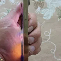 iPhone 13 promax|موبایل|اسلام‌شهر, زرافشان|دیوار