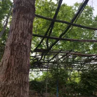 رهن و اجاره منزل ویلایی چهار خواب خ بهزاد