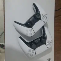 ps5 fat