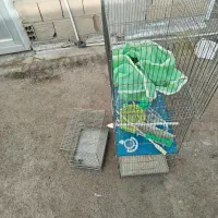 قفس قناری سهره لوازم ارزن ریز