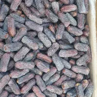 فروش خرمای پیارم سوپر