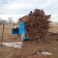 حمل بار با نیسان|خدمات حمل و نقل|ملایر, |دیوار