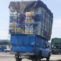 کارتون موزی برای اساس کشی صادرات|عمدهفروشی|اردبیل, |دیوار