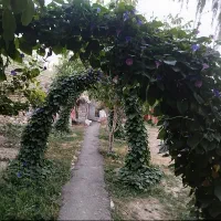 خانه اجاره ایی|اجارهٔ خانه و ویلا|الیگودرز, |دیوار