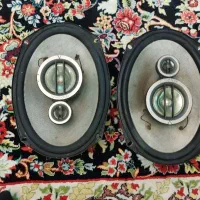 فروش ظبط و باند کیم وود