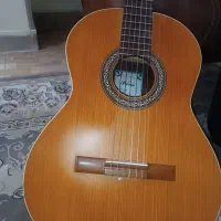 گیتار پارسی p80 نو