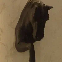 اسب مجسمه دیوارکوب مشکی