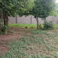 ۴۶۰ متر ویلا کامل مسکونی سند تکبرگ قلعه رودخان