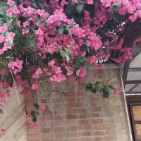 پردیس-دو-بلوارگلزار