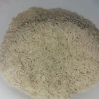 برنج طارم هاشمی|خوردنی و آشامیدنی|بندرعباس, |دیوار