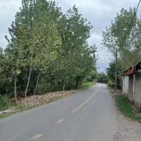 زمین-دیم-وابی