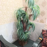 وسایل منزل دست دوم در حد نو با قیمت توافقی|حراج|کازرون, |دیوار