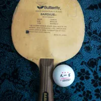 راکت پینگ پنگ مدل ساردیوس|ورزشهای توپی|مشهد, کوی المهدی|دیوار