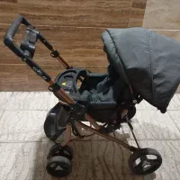 کالسگه دلیجان نو نو درحد