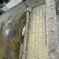 ویلا شهرکی سنددار|فروش خانه و ویلا|نوشهر, |دیوار