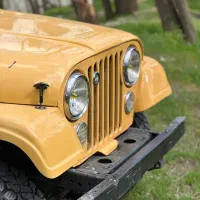 جیب شهباز کانادایی ۶۴|خودرو کلاسیک|تهران, اکباتان|دیوار