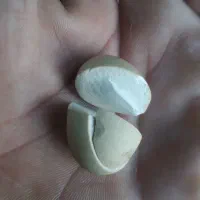 سنگ طبیعی الماس اسیاب|جواهرات|هشتگرد, مدرس|دیوار