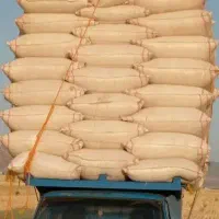 فروش کاه لوبیا بالای ۱۵ عدد تحویل درب منزل