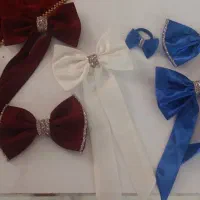 پاپیون سنجاق|بدلیجات|سلماس, |دیوار