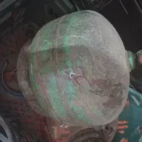 پیک نیک
