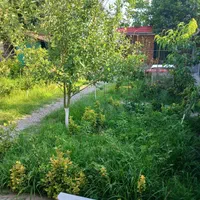 ویلا باغ سبز|اجارهٔ کوتاهمدت ویلا و باغ|بندر انزلی, کلیور|دیوار