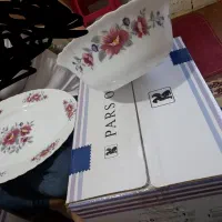 سرویس پارس اوپال