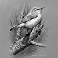 نقاشی حرفه ای کودکان و بزرگسالان قوچان قوچان|خدمات آموزشی|قوچان, |دیوار