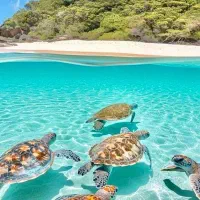 تور هوایی گشت پرواز داخلی هتل لحظه آخری کیش|تور و چارتر|شیراز, بازار|دیوار