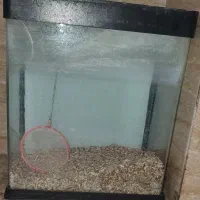 اکواریوم و لوازم آکواریوم