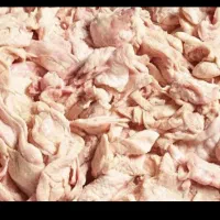 پوست مرغ|عمدهفروشی|تهران, شهرری|دیوار