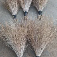 جاروطبیعی(جارو سفیدکوهستان)|لوازم نظافت|شاهین دژ, |دیوار