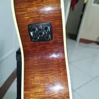 گیتار حرفه ای|گیتار، بیس، امپلیفایر|ورامین, ورامین|دیوار