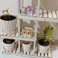 فروش استند گل