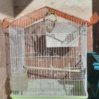 قفس پرنده