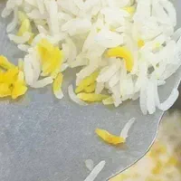 برنج طارم هاشمی وطارم سرگل و طارم  اشرافی وجواهری|خوردنی و آشامیدنی|گرمسار, |دیوار