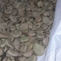 باقالا