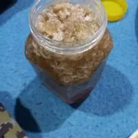 ۲کیلو عسل کوهی|خوردنی و آشامیدنی|اندیکا, |دیوار