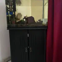 آکواریوم دلسا