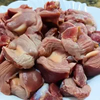 سنگدان فله  تازه